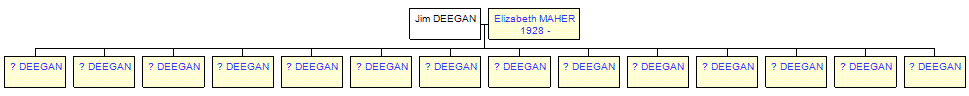 Mini tree diagram