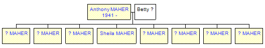 Mini tree diagram