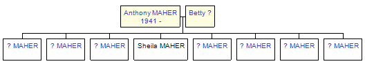 Mini tree diagram