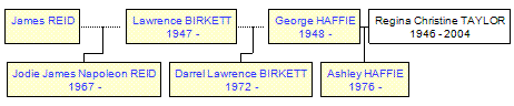 Mini tree diagram